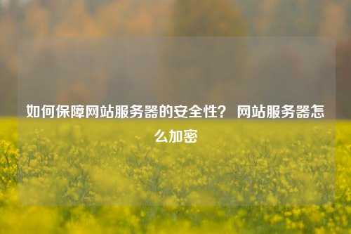 如何保障网站服务器的安全性？ 网站服务器怎么加密