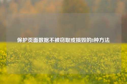 保护页面数据不被窃取或损毁的8种方法