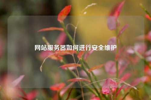 网站服务器如何进行安全维护
