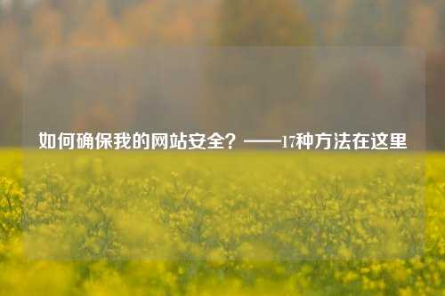 如何确保我的网站安全？——17种方法在这里