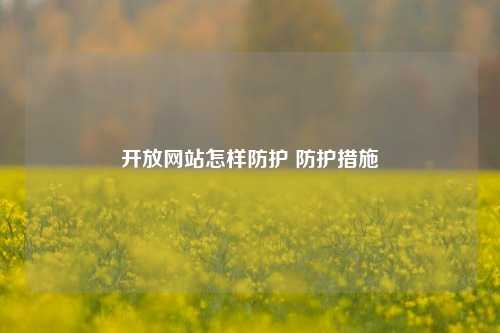 开放网站怎样防护 防护措施