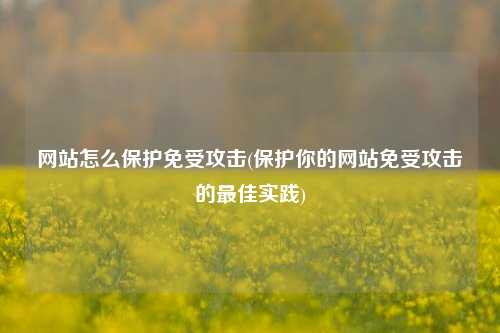 网站怎么保护免受攻击(保护你的网站免受攻击的最佳实践)