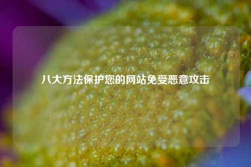 八大方法保护您的网站免受恶意攻击