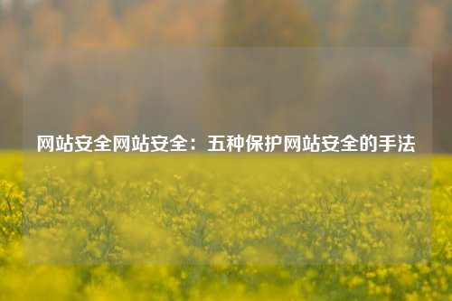 网站安全网站安全：五种保护网站安全的手法