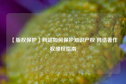 【版权保护】网站如何保护知识产权 网络著作权维权指南
