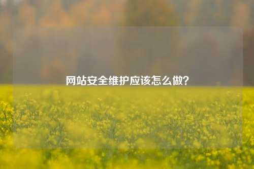 网站安全维护应该怎么做？
