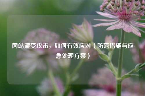 网站遭受攻击，如何有效应对（防范措施与应急处理方案）