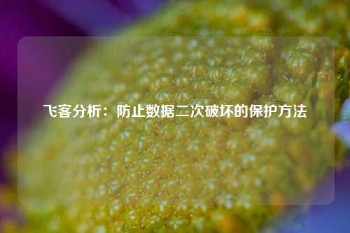 飞客分析：防止数据二次破坏的保护方法