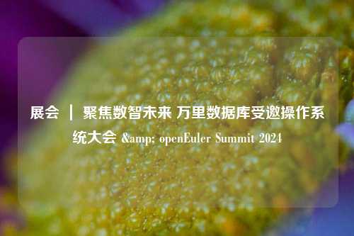展会 ｜ 聚焦数智未来 万里数据库受邀操作系统大会 & openEuler Summit 2024
