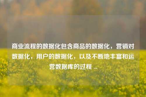 商业流程的数据化包含商品的数据化，营销对数据化，用户的数据化，以及不断地丰富和运营数据库的过程 ...