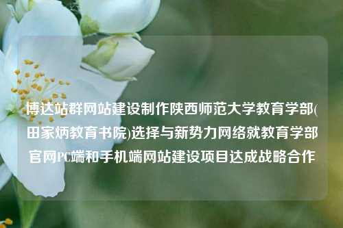 博达站群网站建设制作陕西师范大学教育学部(田家炳教育书院)选择与新势力网络就教育学部官网PC端和手机端网站建设项目达成战略合作