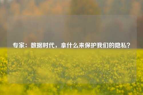 专家：数据时代，拿什么来保护我们的隐私？