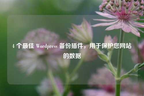 4 个最佳 Wordpress 备份插件，用于保护您网站的数据