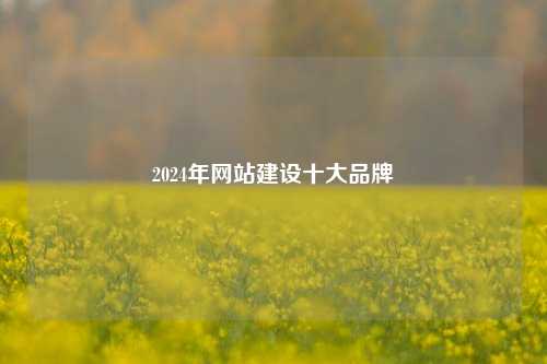 2024年网站建设十大品牌