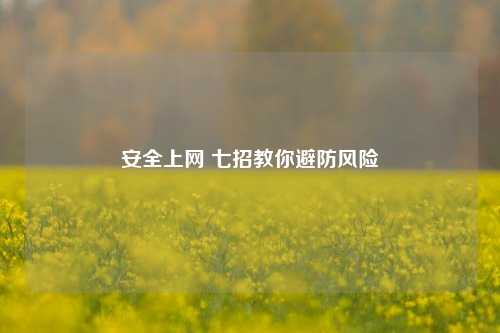 安全上网 七招教你避防风险