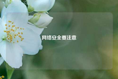 网络安全要注意