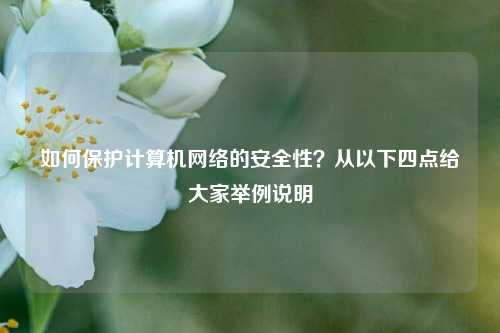 如何保护计算机网络的安全性？从以下四点给大家举例说明