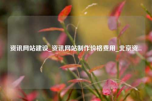 资讯网站建设_资讯网站制作价格费用_北京资...