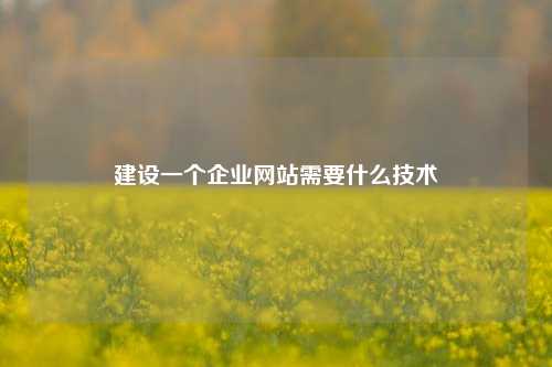 建设一个企业网站需要什么技术