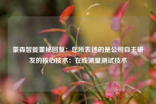 豪森智能董秘回复：您所表述的是公司自主研发的核心技术：在线测量测试技术