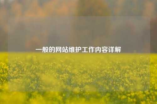 一般的网站维护工作内容详解