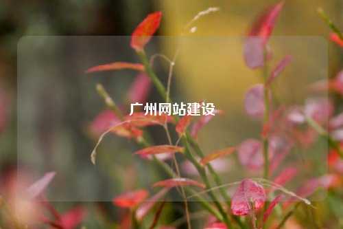 广州网站建设