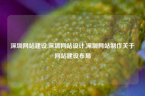 深圳网站建设,深圳网站设计,深圳网站制作关于网站建设布局