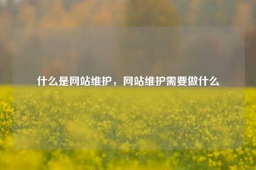什么是网站维护，网站维护需要做什么
