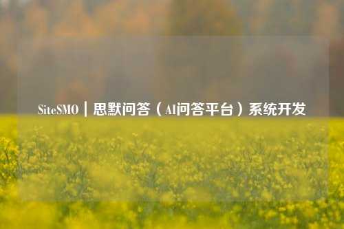 SiteSMO｜思默问答（AI问答平台）系统开发