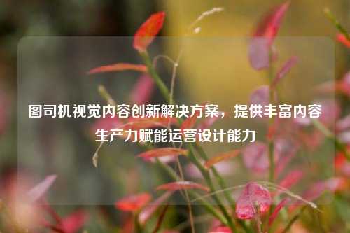 图司机视觉内容创新解决方案，提供丰富内容生产力赋能运营设计能力