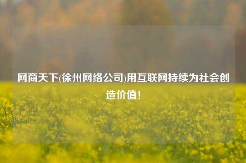 网商天下(徐州网络公司)用互联网持续为社会创造价值！