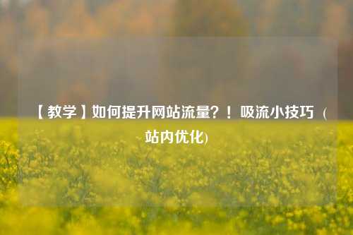【教学】如何提升网站流量？！吸流小技巧  (站内优化)
