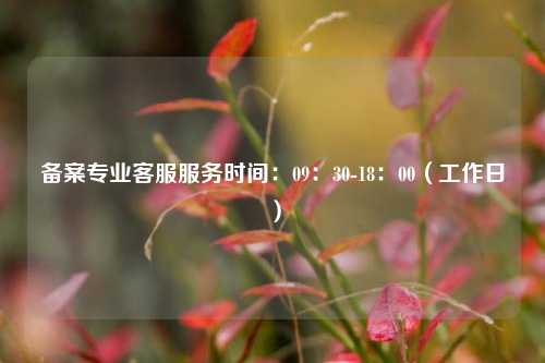 备案专业客服服务时间：09：30-18：00（工作日）