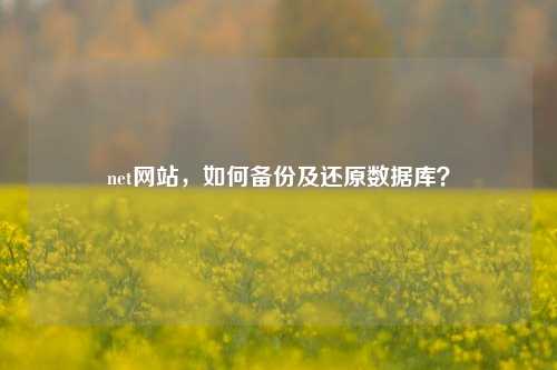 net网站，如何备份及还原数据库？