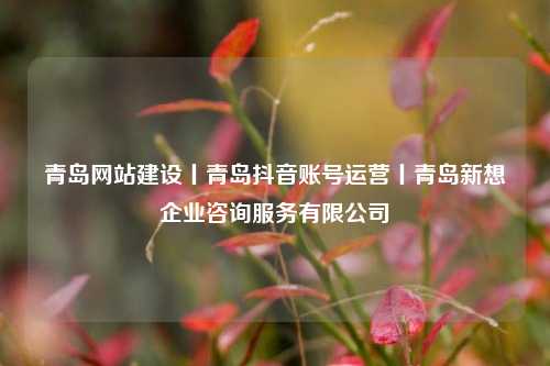 青岛网站建设丨青岛抖音账号运营丨青岛新想企业咨询服务有限公司