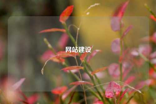 网站建设