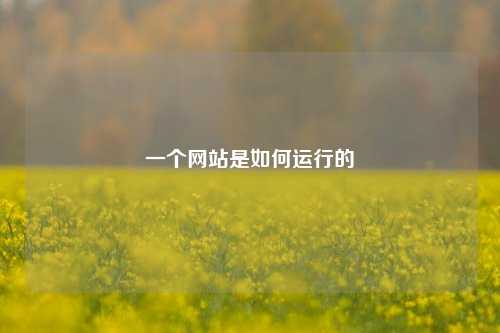 一个网站是如何运行的