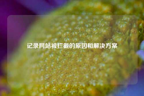 记录网站被拦截的原因和解决方案