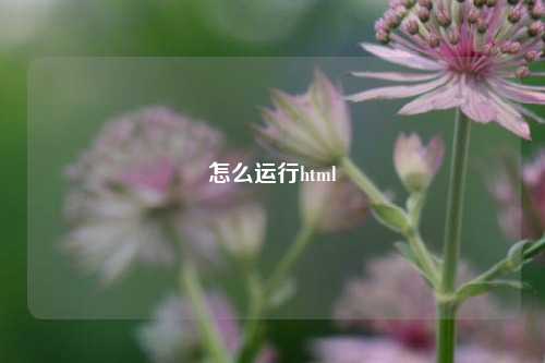 怎么运行html