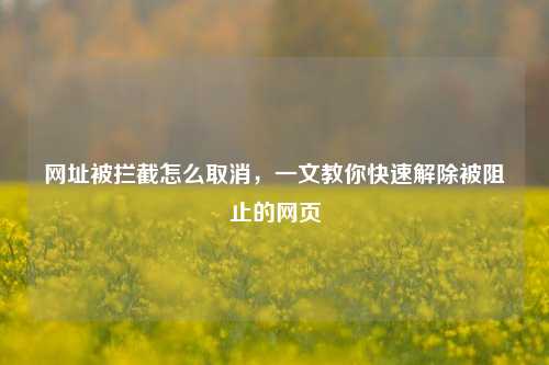 网址被拦截怎么取消，一文教你快速解除被阻止的网页