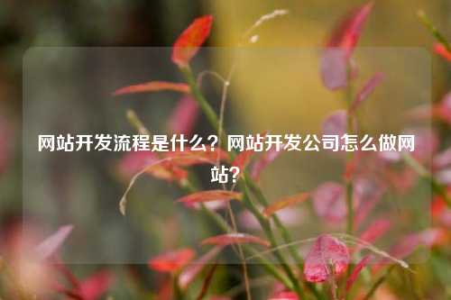 网站开发流程是什么？网站开发公司怎么做网站？