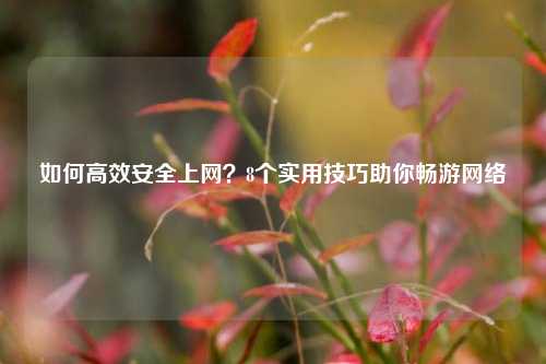 如何高效安全上网？8个实用技巧助你畅游网络