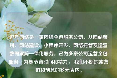 逗号网络是一家网络全包服务公司，从网站策划、网站建设、小程序开发、网络托管及运营数据跟踪一体化服务，已为多家公司运营全包服务，为您节省时间和精力， 我们不断探索营销和创意的多元表达。