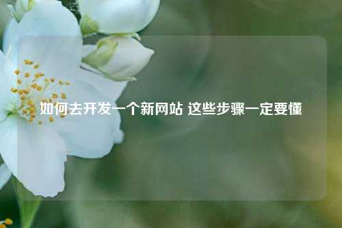 如何去开发一个新网站 这些步骤一定要懂