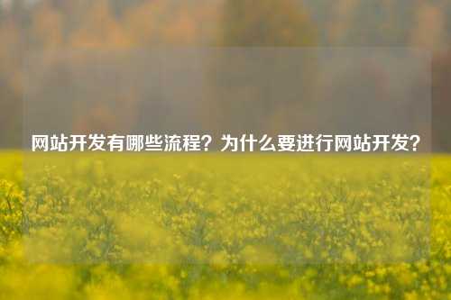网站开发有哪些流程？为什么要进行网站开发？