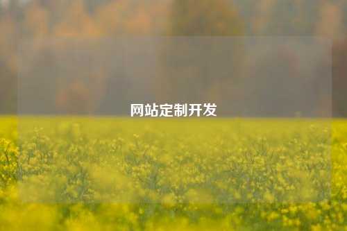 网站定制开发