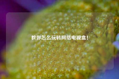 教你怎么玩转网络电视盒！