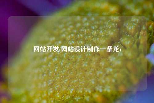 网站开发(网站设计制作一条龙)