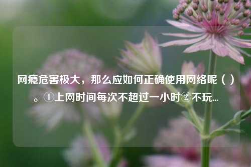 网瘾危害极大，那么应如何正确使用网络呢（）。①上网时间每次不超过一小时②不玩...