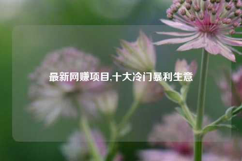 最新网赚项目,十大冷门暴利生意